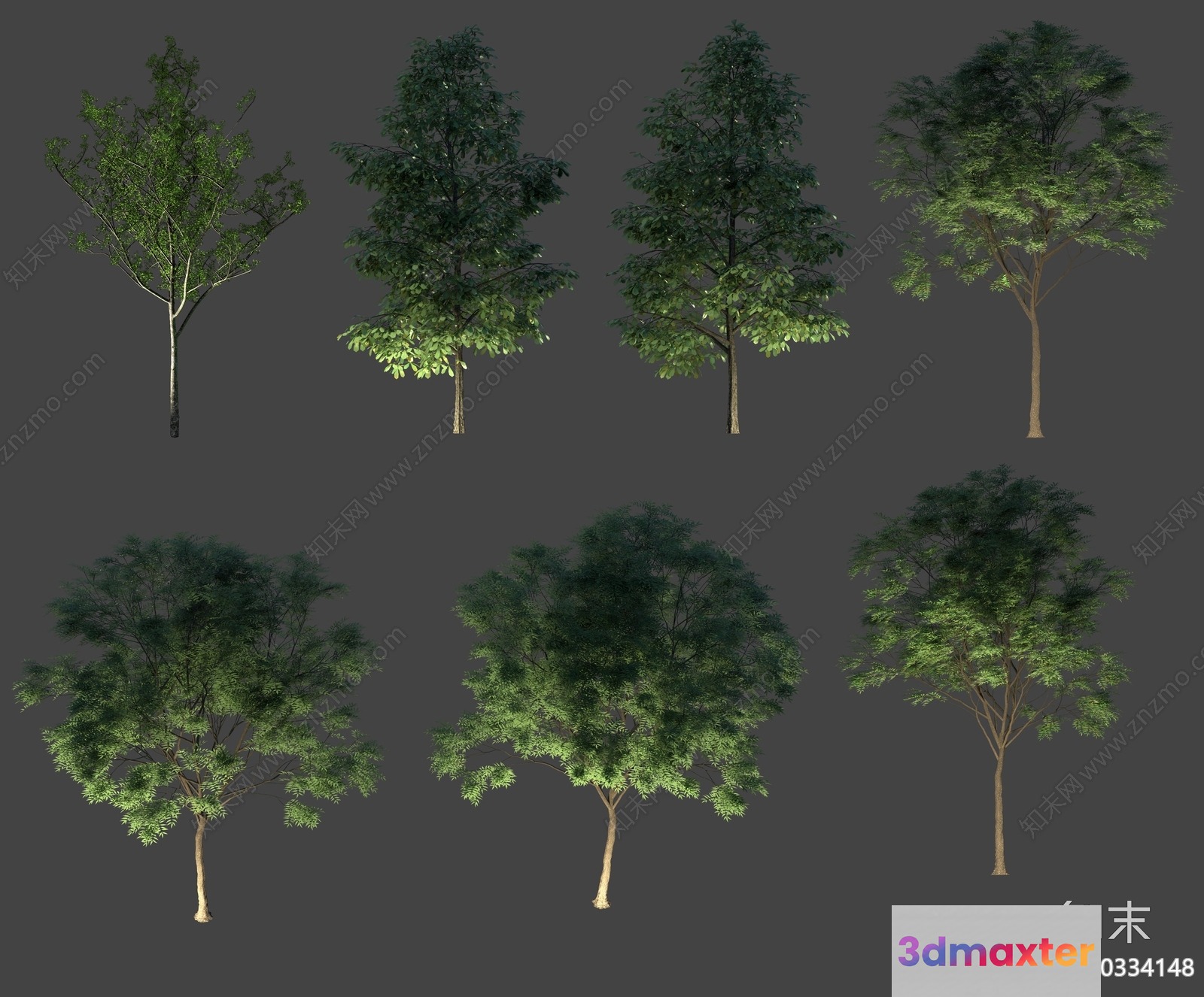 A Tree With Green Leaves 3D Model - 6339 - VRAY Render