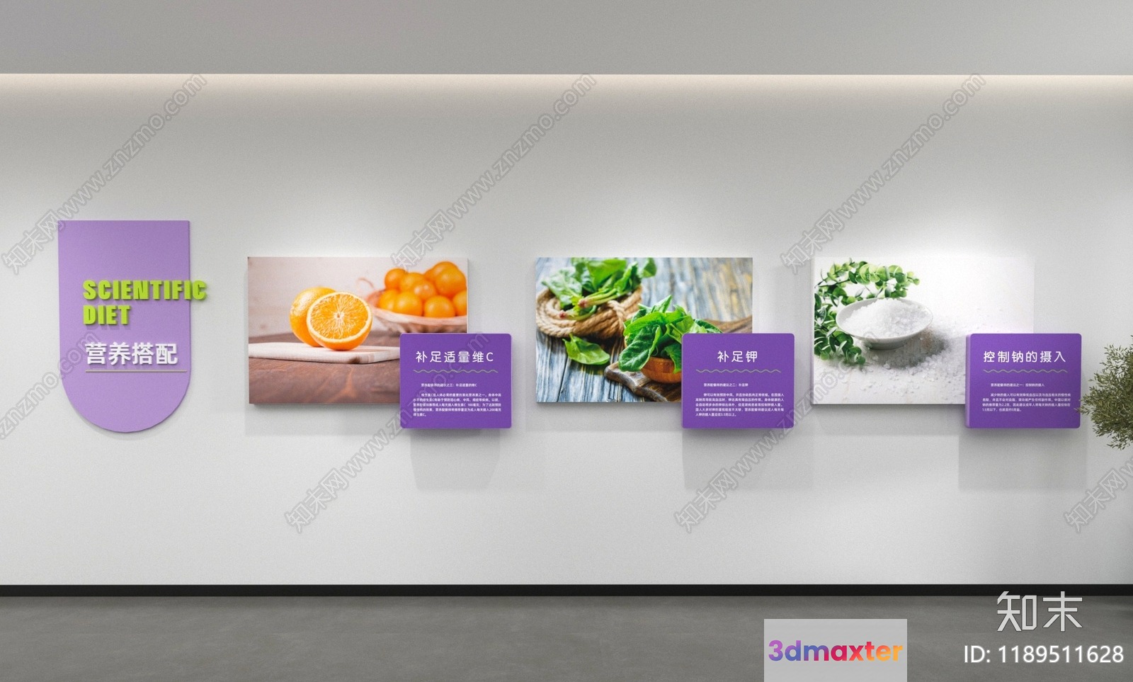 A Wall Featuring A Series Of Pictures With The Main Subject 3D Model - 18810 - VRAY Render