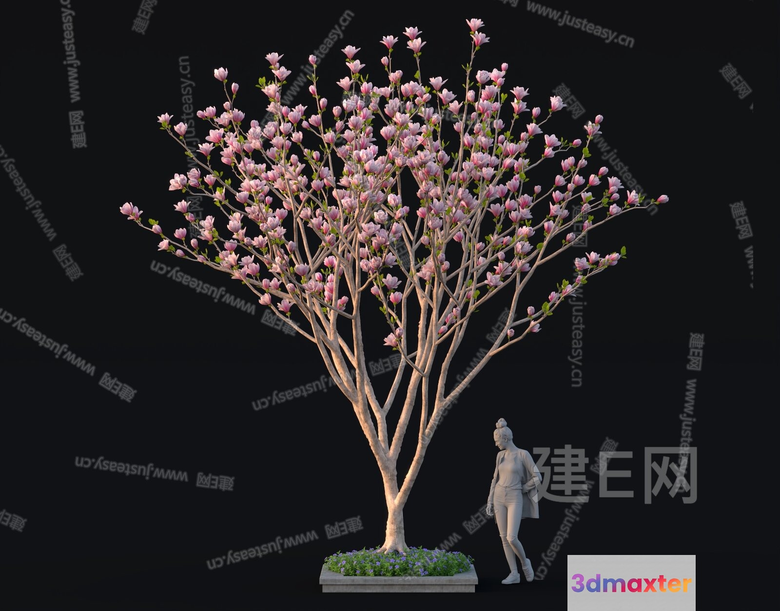 A Tree With Pink Flowers 3D Model - 11769 - VRAY Render