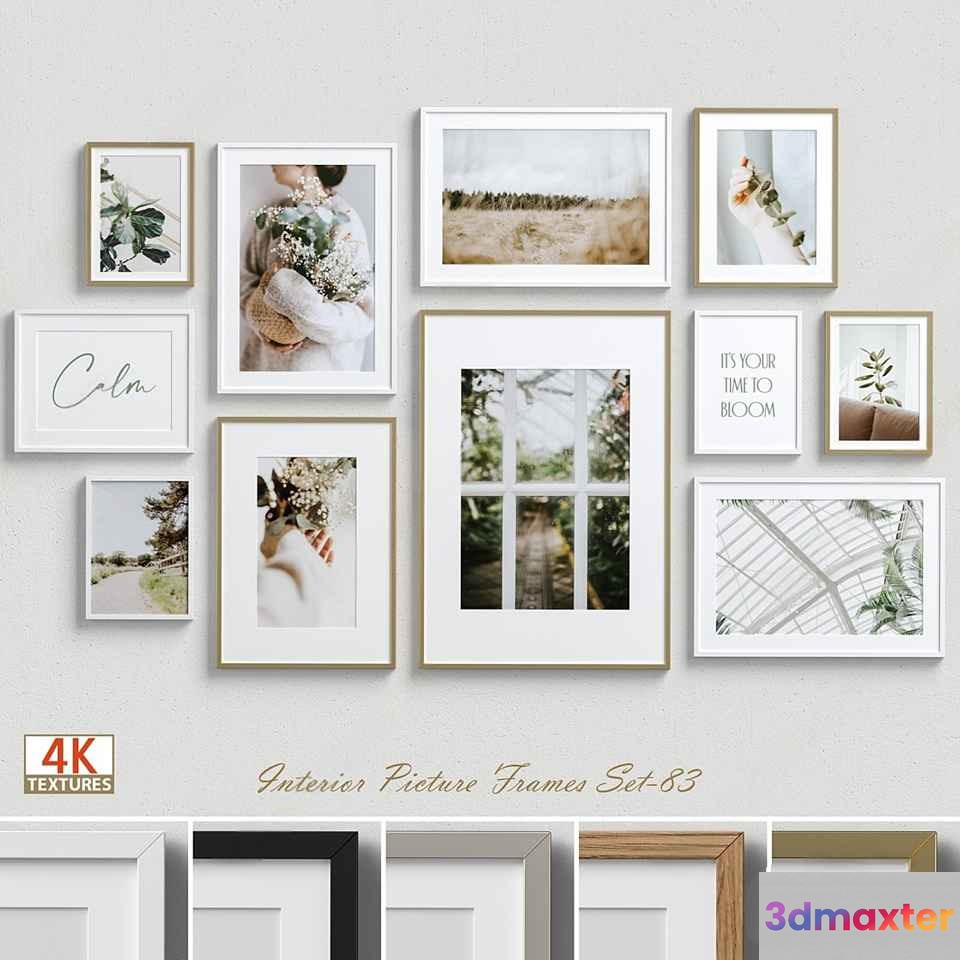 A Collection Of Framed Photos 3D Model - 2733 - VRAY Render