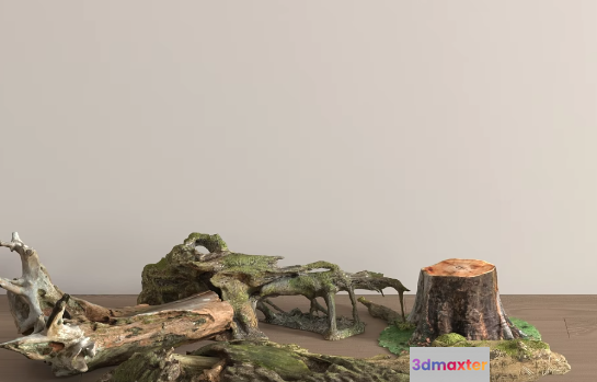 A Tree Stump With Moss 3D Model - 17585 - VRAY Render