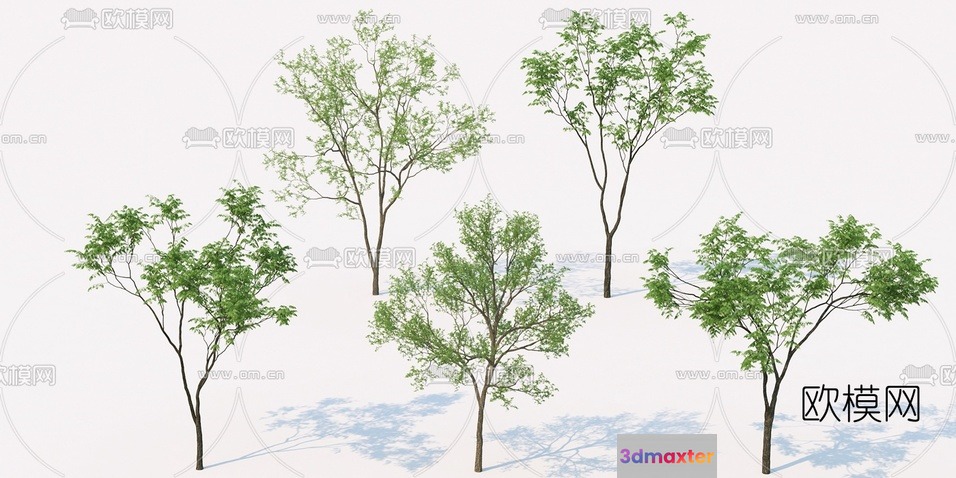 A Group Of Trees 3D Model - 20692 - VRAY Render