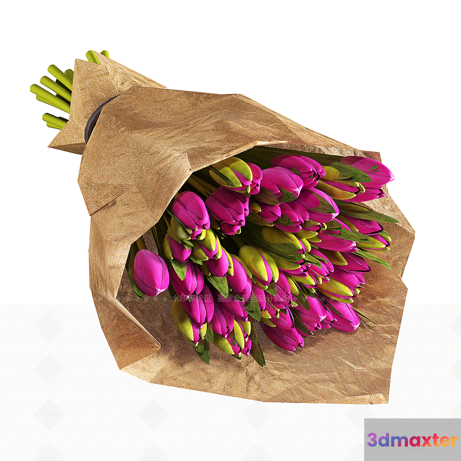 Pink Tulips 3D Model - 1671 - VRAY Render