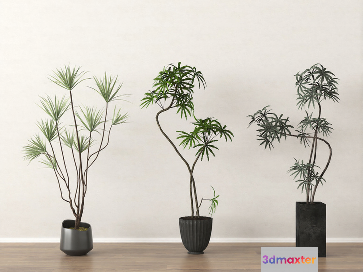 Three Potted Plants 3D Model - 18439 - VRAY Render
