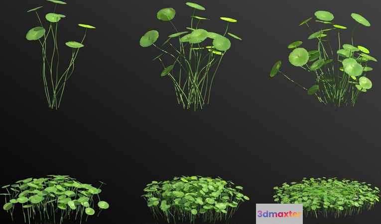 A Bunch Of Green Plants 3D Model - 11796 - VRAY Render