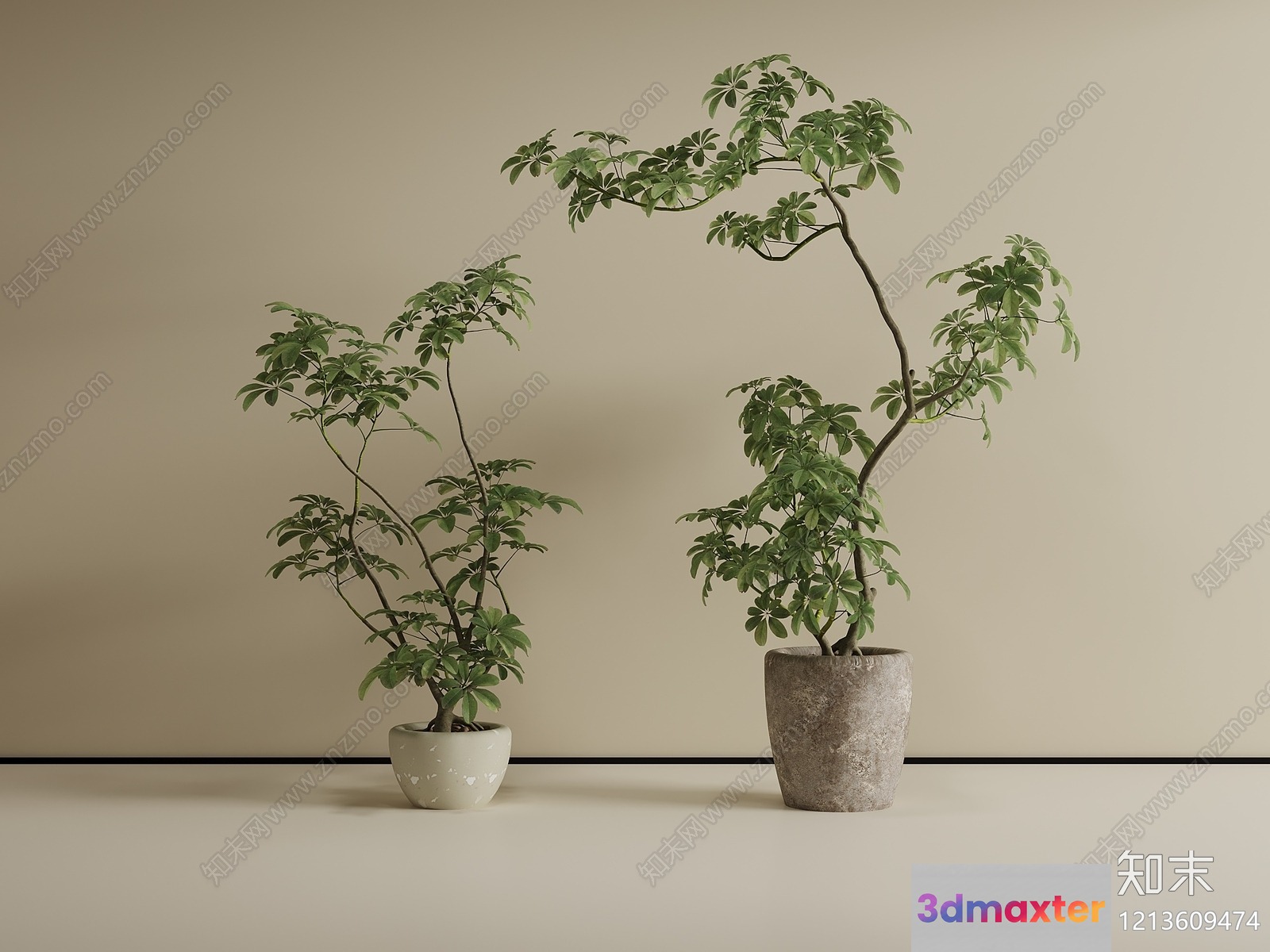 Two Potted Plants 3D Model - 5975 - VRAY Render
