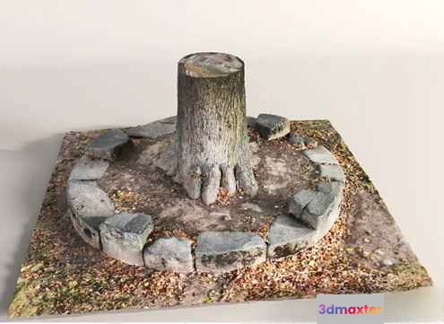 A Tree Stump 3D Model - 14549 - VRAY Render