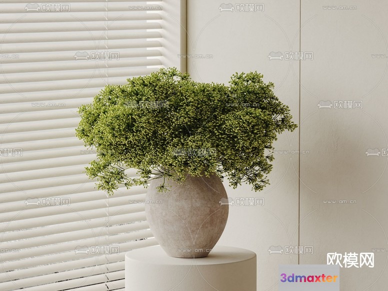 A Plant In A Vase 3D Model - 3148 - VRAY Render