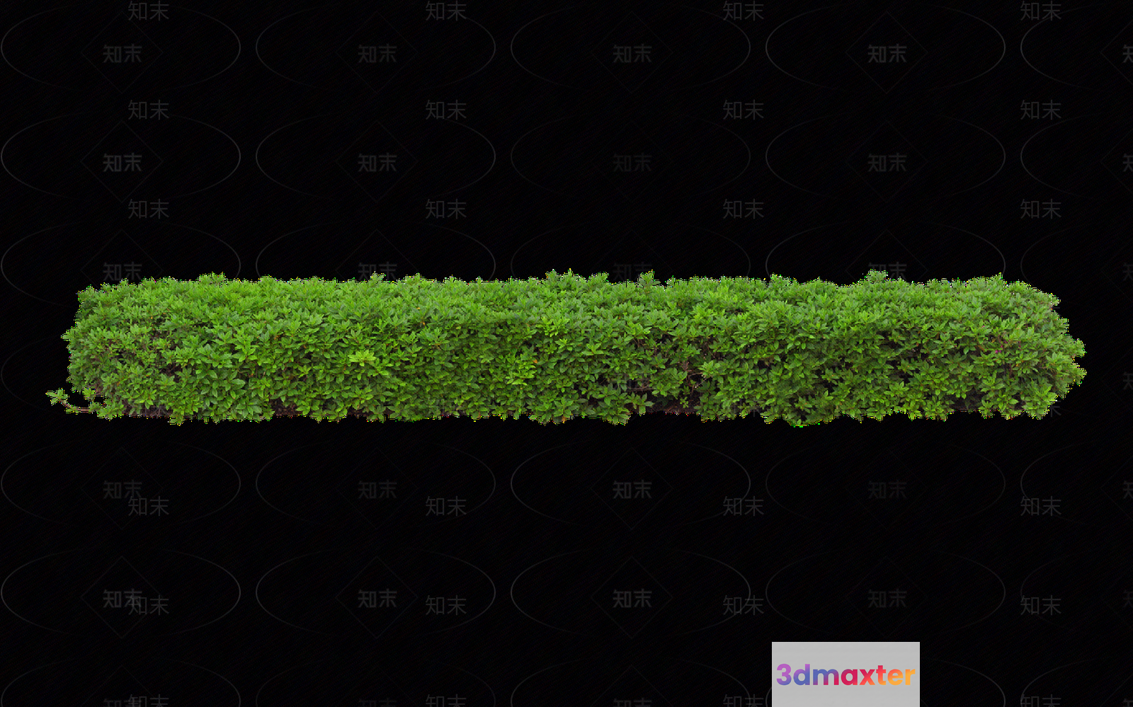 A Green Bush 3D Model - 11376 - VRAY Render