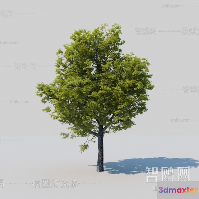 A Tree With Green Leaves 3D Model - 10846 - VRAY Render