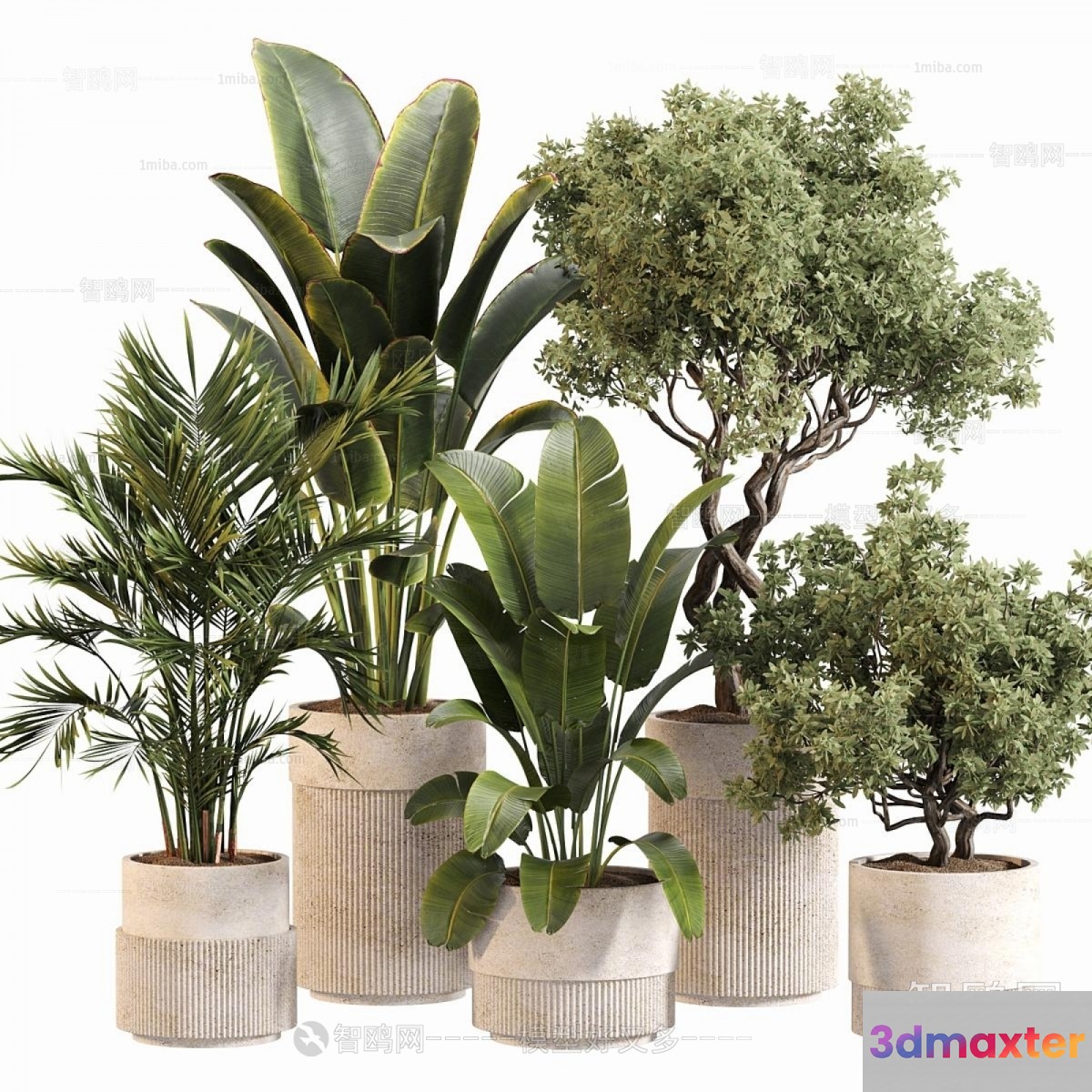 Potted Plants In A Row 3D Model - 14928 - VRAY Render
