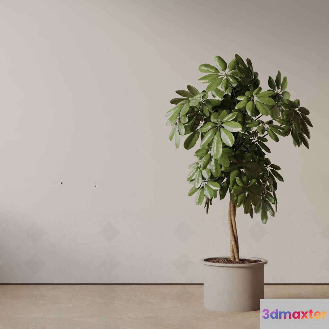 A Potted Plant 3D Model - 11219 - VRAY Render