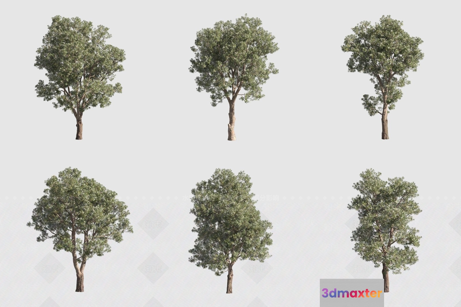 Trees. The Trees Are Green 3D Model - 14587 - VRAY Render