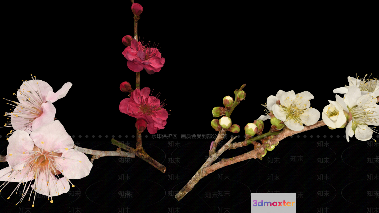 White And Pink Flowers 3D Model - 2915 - VRAY Render