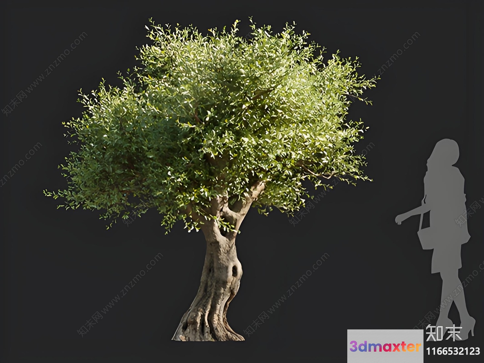 A Tree With A Woman Standing Next To It 3D Model - 11472 - VRAY Render