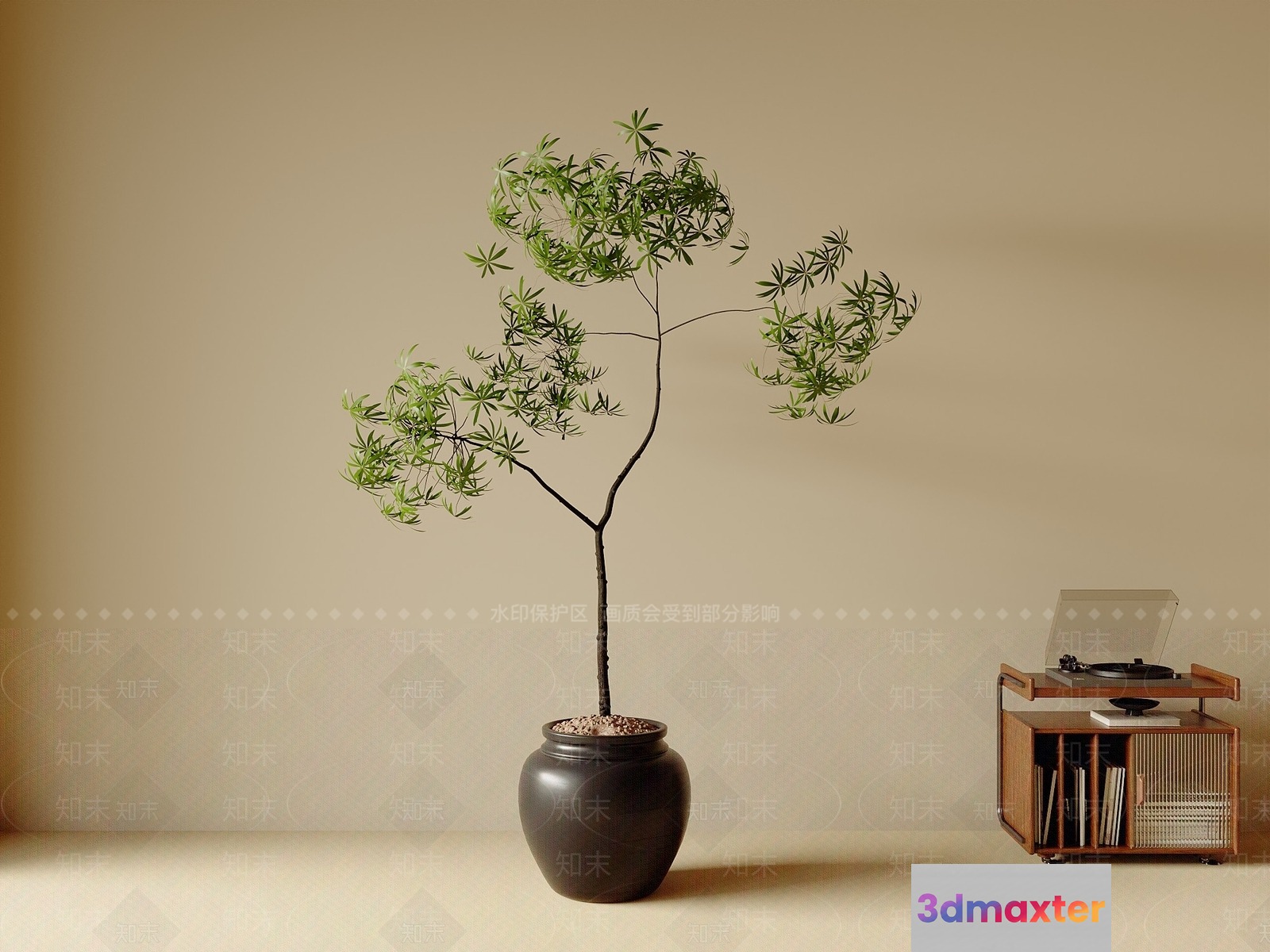 A Plant In A Pot 3D Model - 3233 - VRAY Render