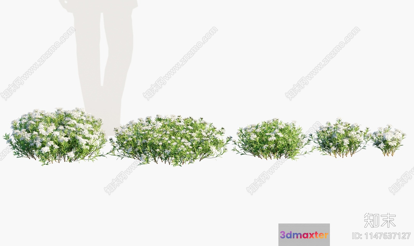Flowers And A Person 3D Model - 14975 - VRAY Render