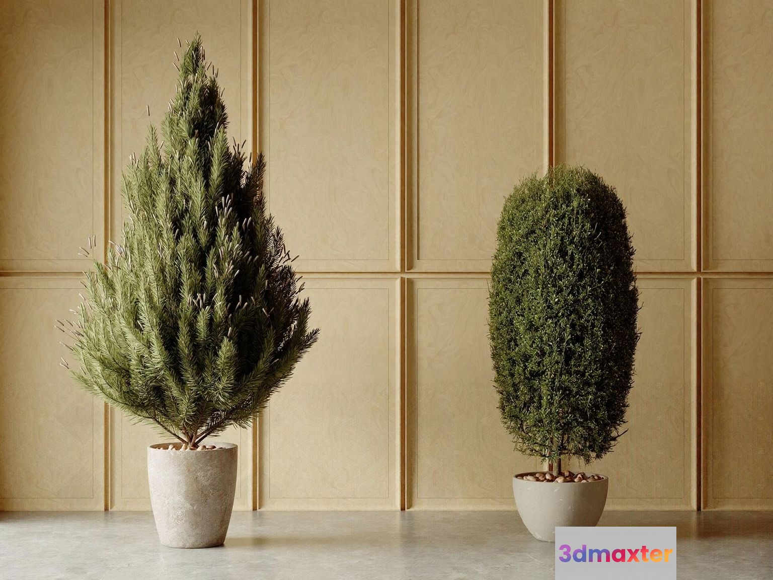 Two Potted Trees 3D Model - 5578 - CORONA Render