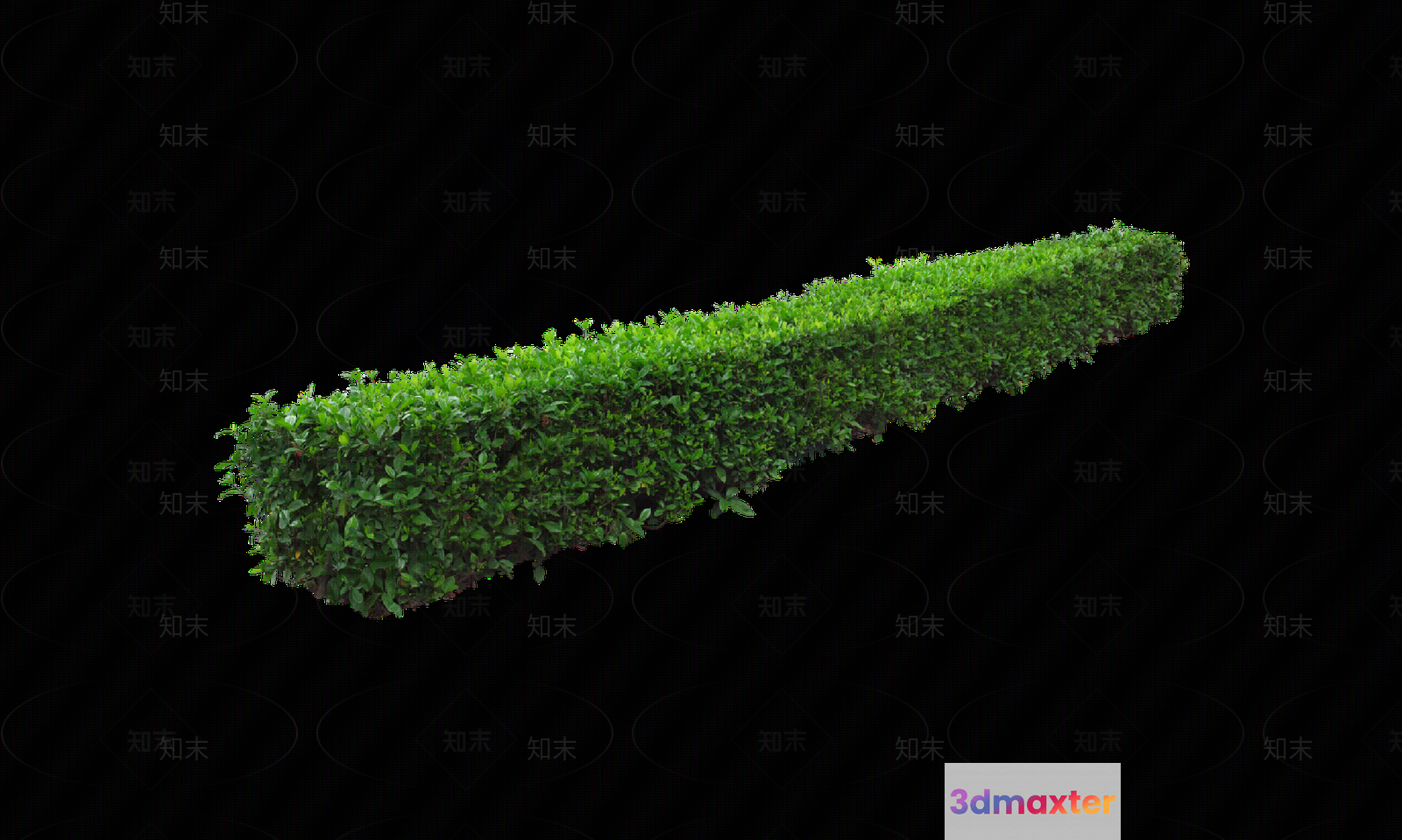 A Green Plant With A Unique Shape 3D Model - 5638 - VRAY Render