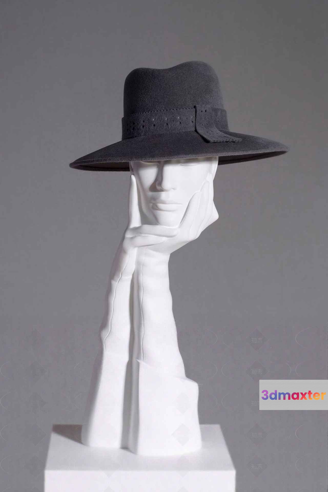 A Hat On A Mannequin Head 3D Model - 22761 - VRAY Render