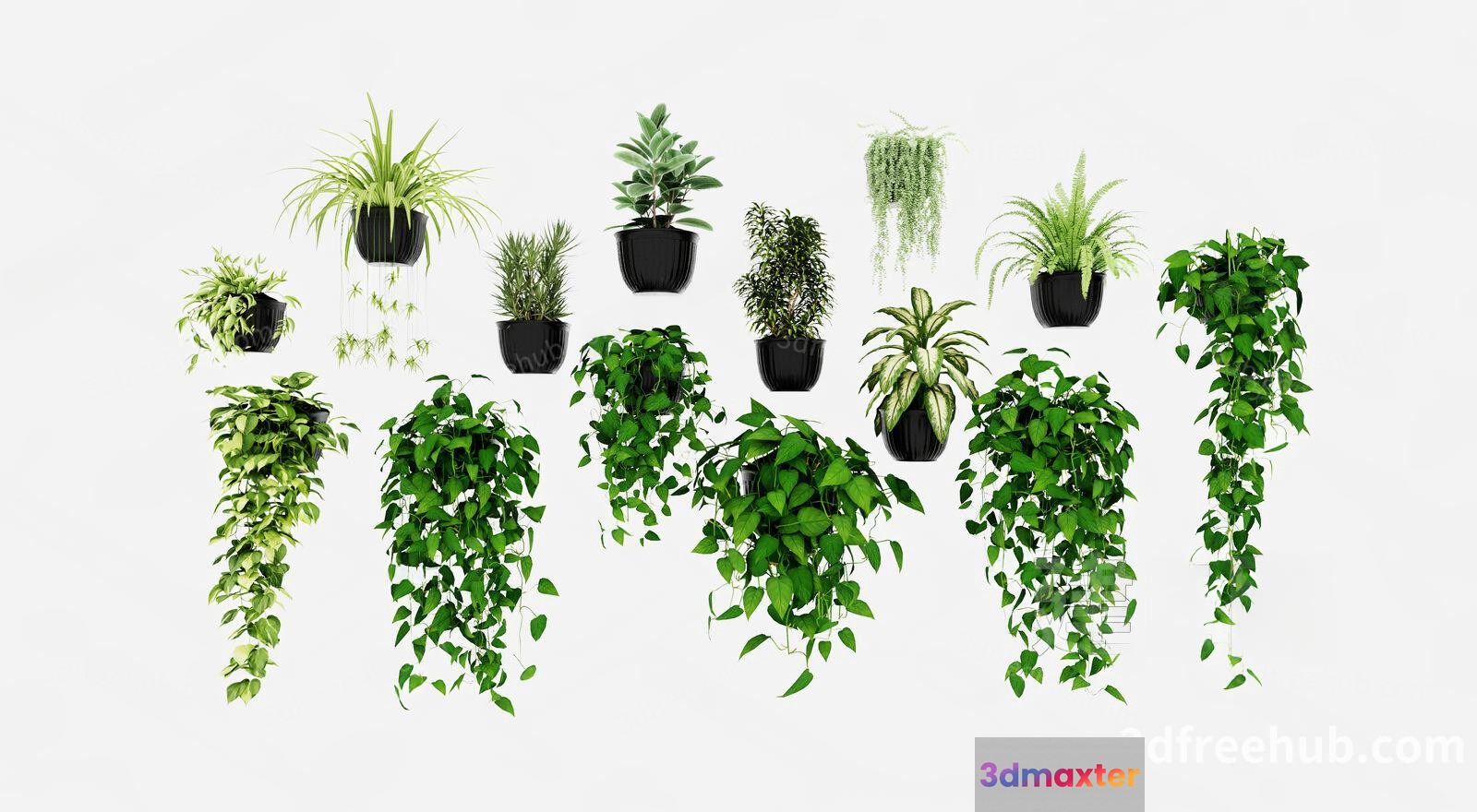 Plants In Pots 3D Model - 22400 - VRAY Render