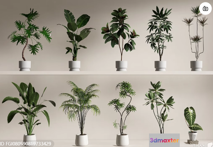 Green Plants In Pots 3D Model - 15948 - VRAY Render