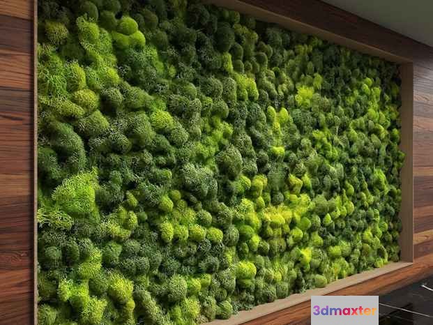 A Green Moss Wall 3D Model - 5400 - VRAY Render