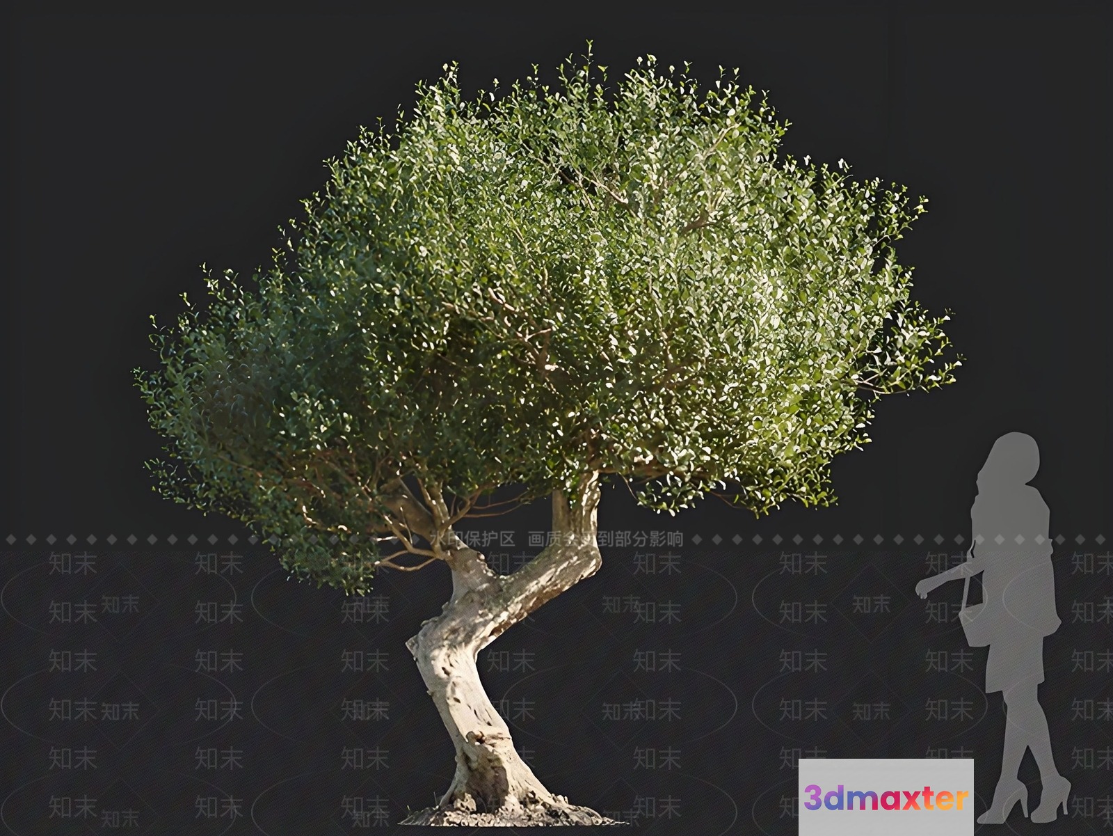 A Tree With A Woman'S Silhouette 3D Model - 16383 - VRAY Render