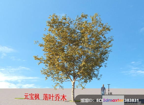 A Tree In A Desert 3D Model - 4197 - VRAY Render