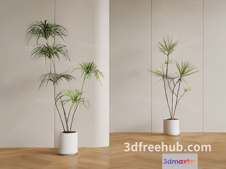 Modern House Plants 3D Model - 21965 - VRAY Render