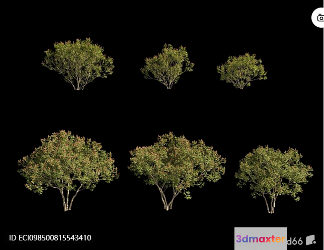 Small Green Trees 3D Model - 11674 - VRAY Render