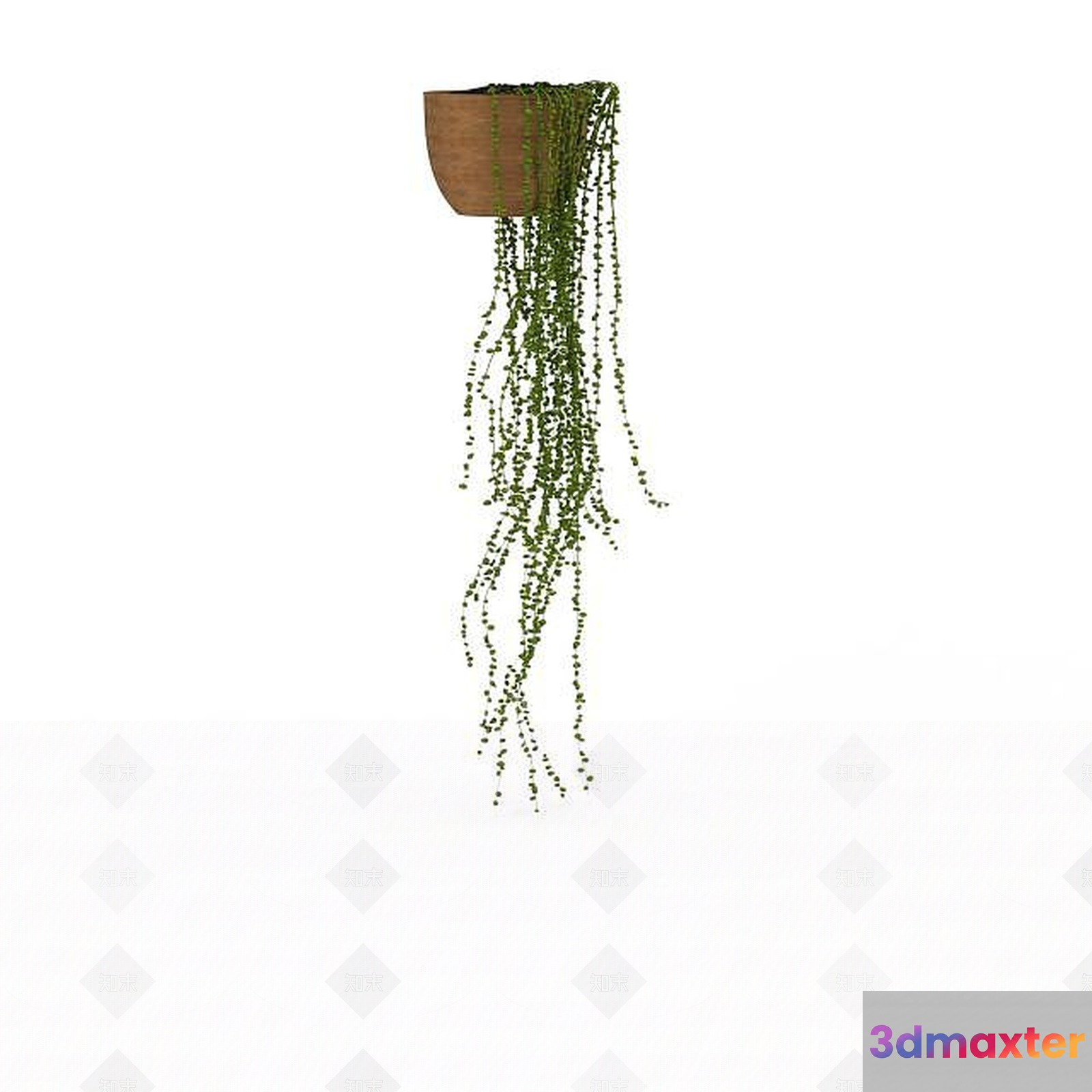 A Plant In A Pot 3D Model - 1061 - VRAY Render