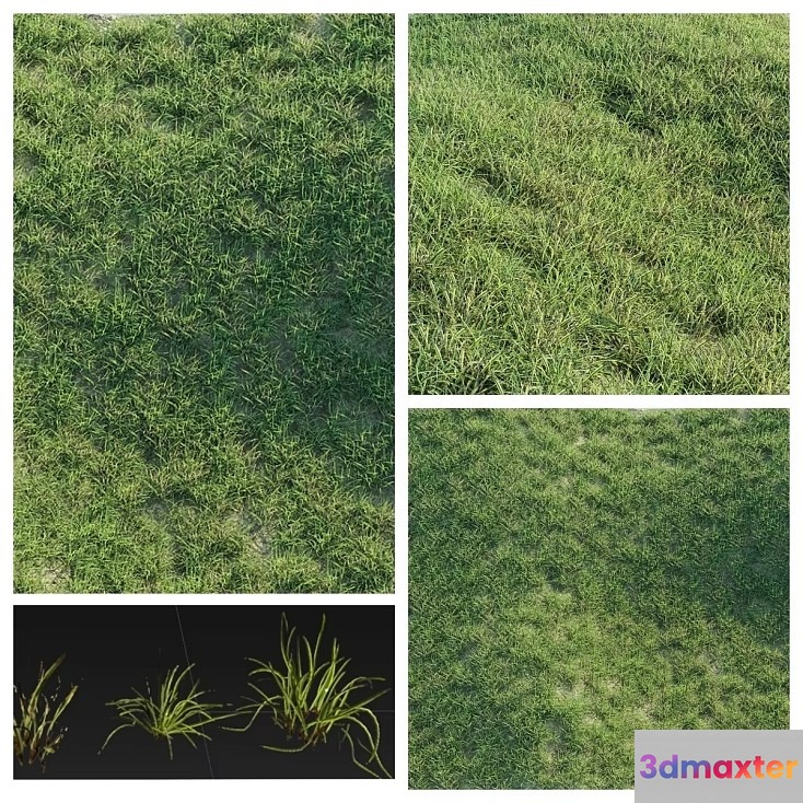 The Main Subject Is A Grassy Field With One Key Characteristic Being Its 3D Model - 22734 - VRAY Render