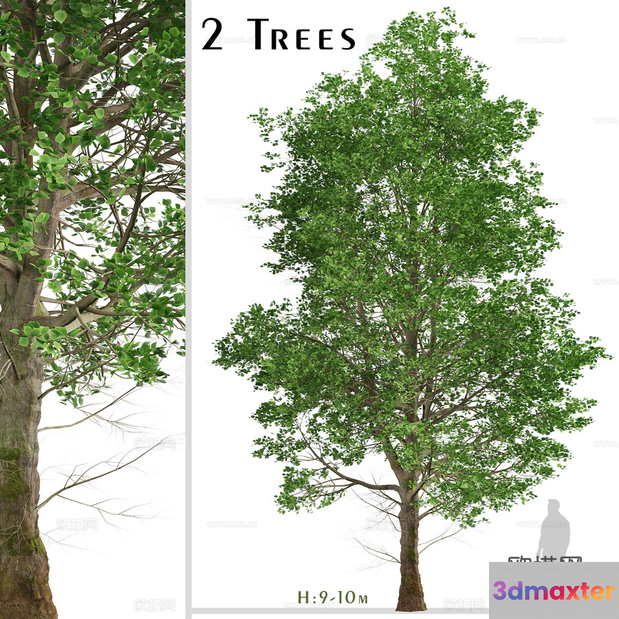 Trees 3D Model - 13317 - VRAY Render