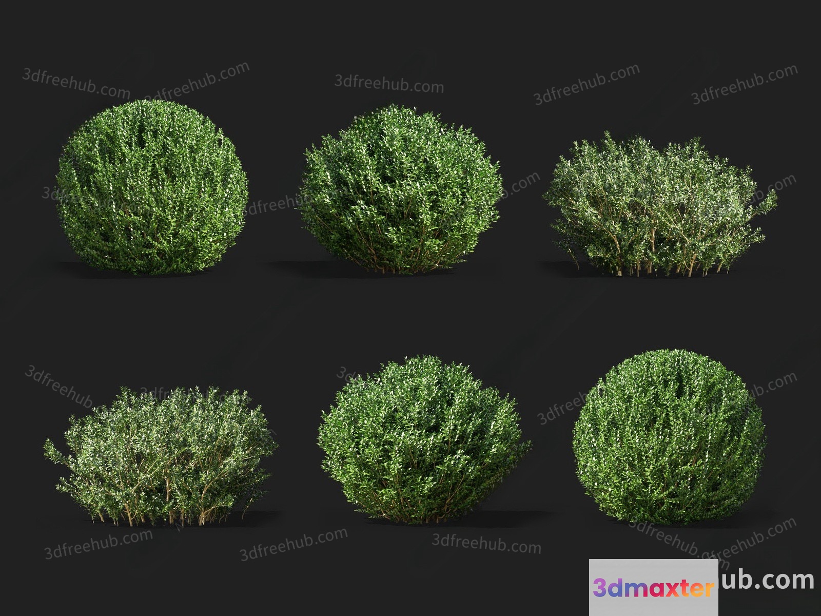 Bushes. The Image Shows A Collection Of Green Bushes 3D Model - 19645 - VRAY Render