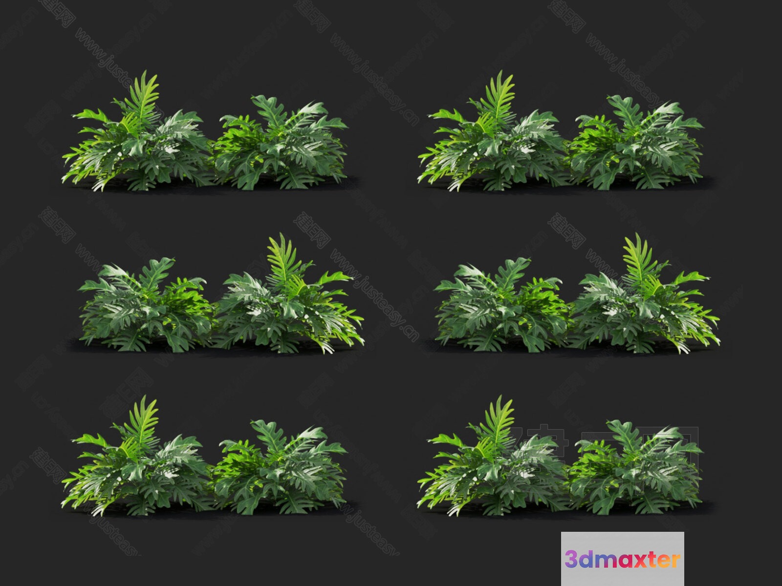A Plant With Green Leaves 3D Model - 15963 - VRAY Render