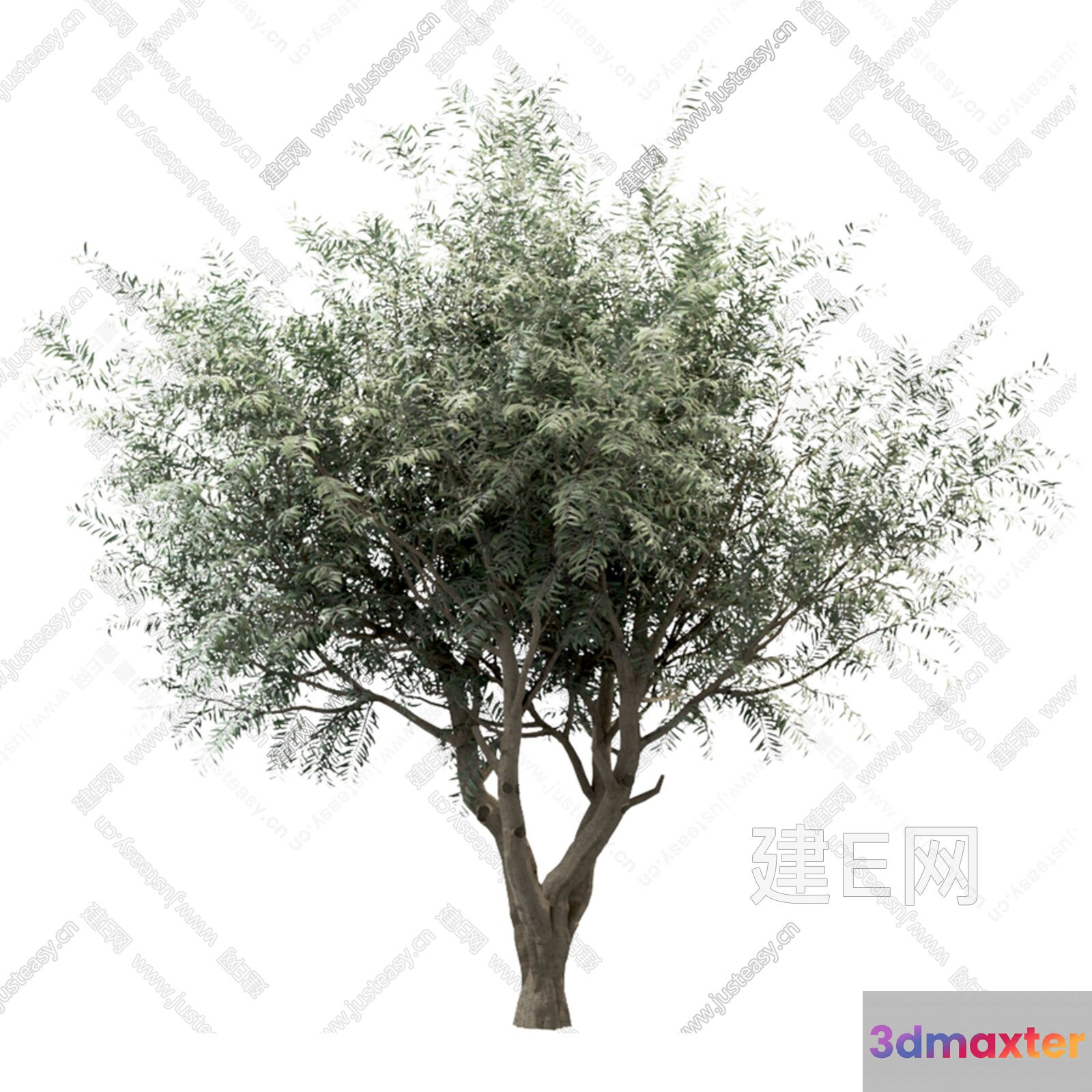 A Tree With Green Leaves 3D Model - 10832 - VRAY Render