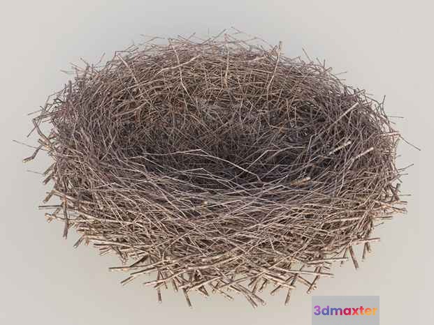 A Bird'S Nest Made Of Twigs 3D Model - 11797 - VRAY Render