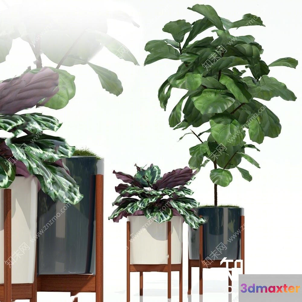 Modern Houseplants 3D Model - 677 - VRAY Render