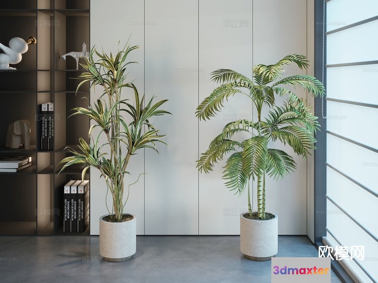 Modern Indoor Plants 3D Model - 13852 - CORONA Render
