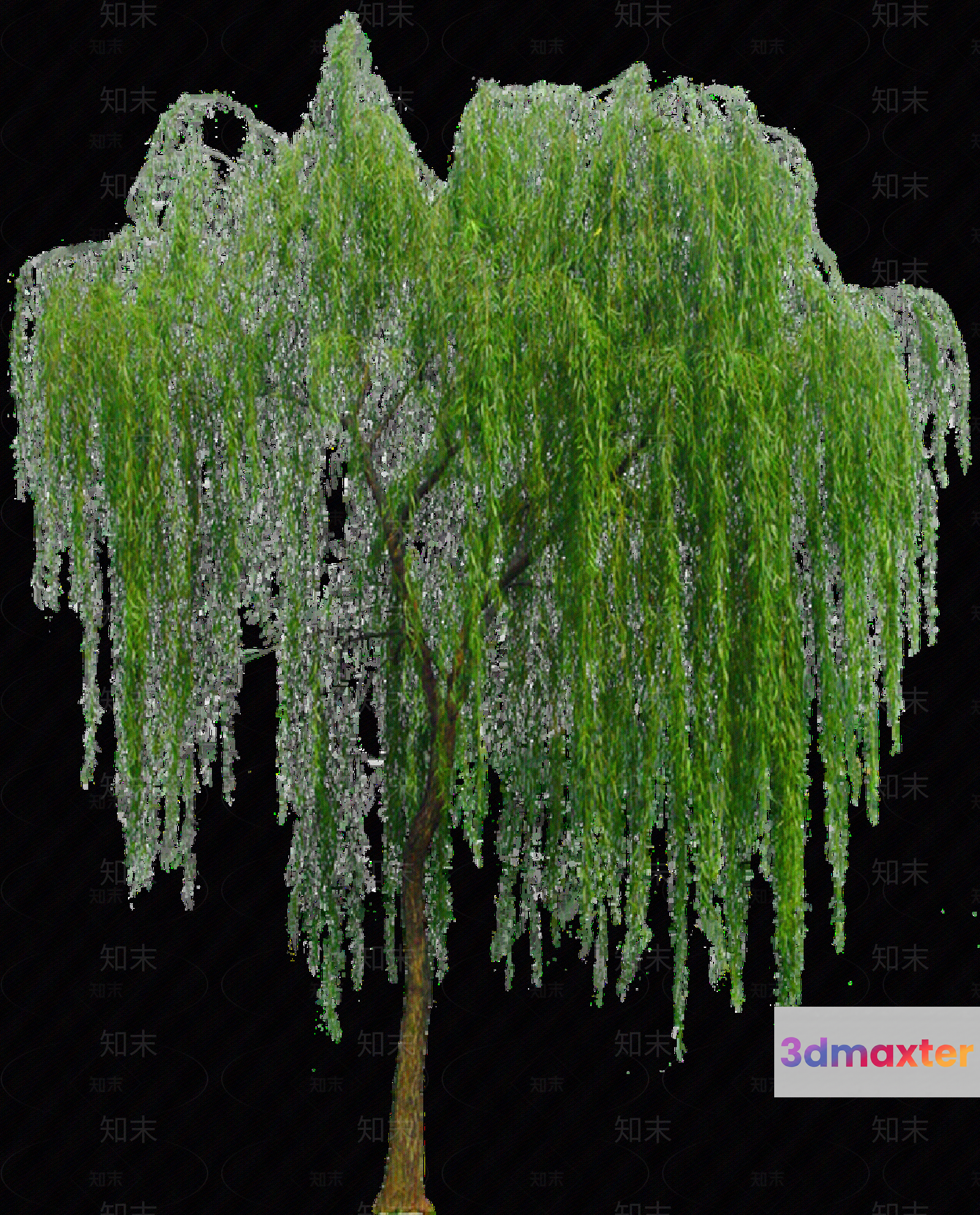 A Tree With Long Green Leaves 3D Model - 5637 - VRAY Render