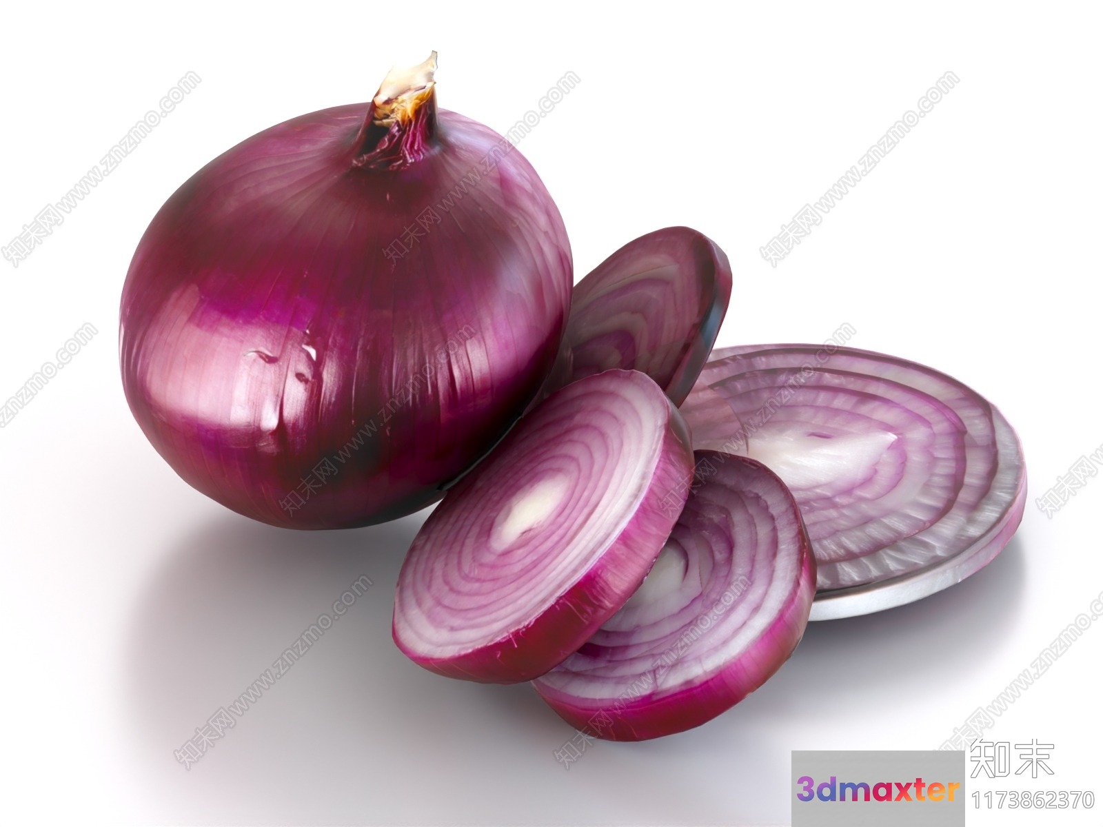 A Red Onion 3D Model - 12749 - VRAY Render