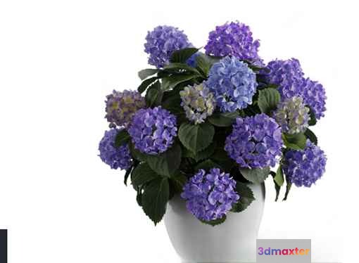 Purple Flower Arrangement 3D Model - 16484 - CORONA Render