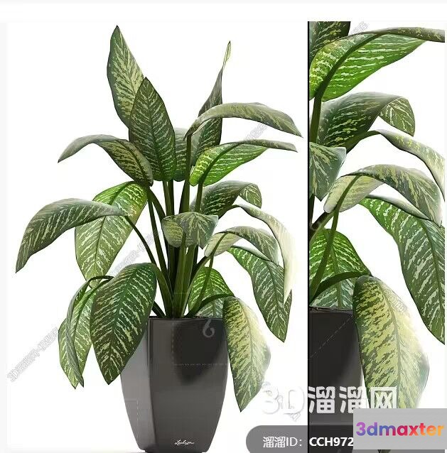 A Potted Plant With Green Leaves 3D Model - 469 - VRAY Render