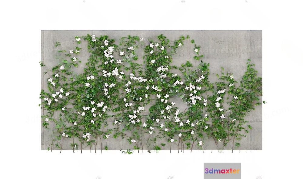 White Flowers And Green Leaves 3D Model - 22407 - VRAY Render