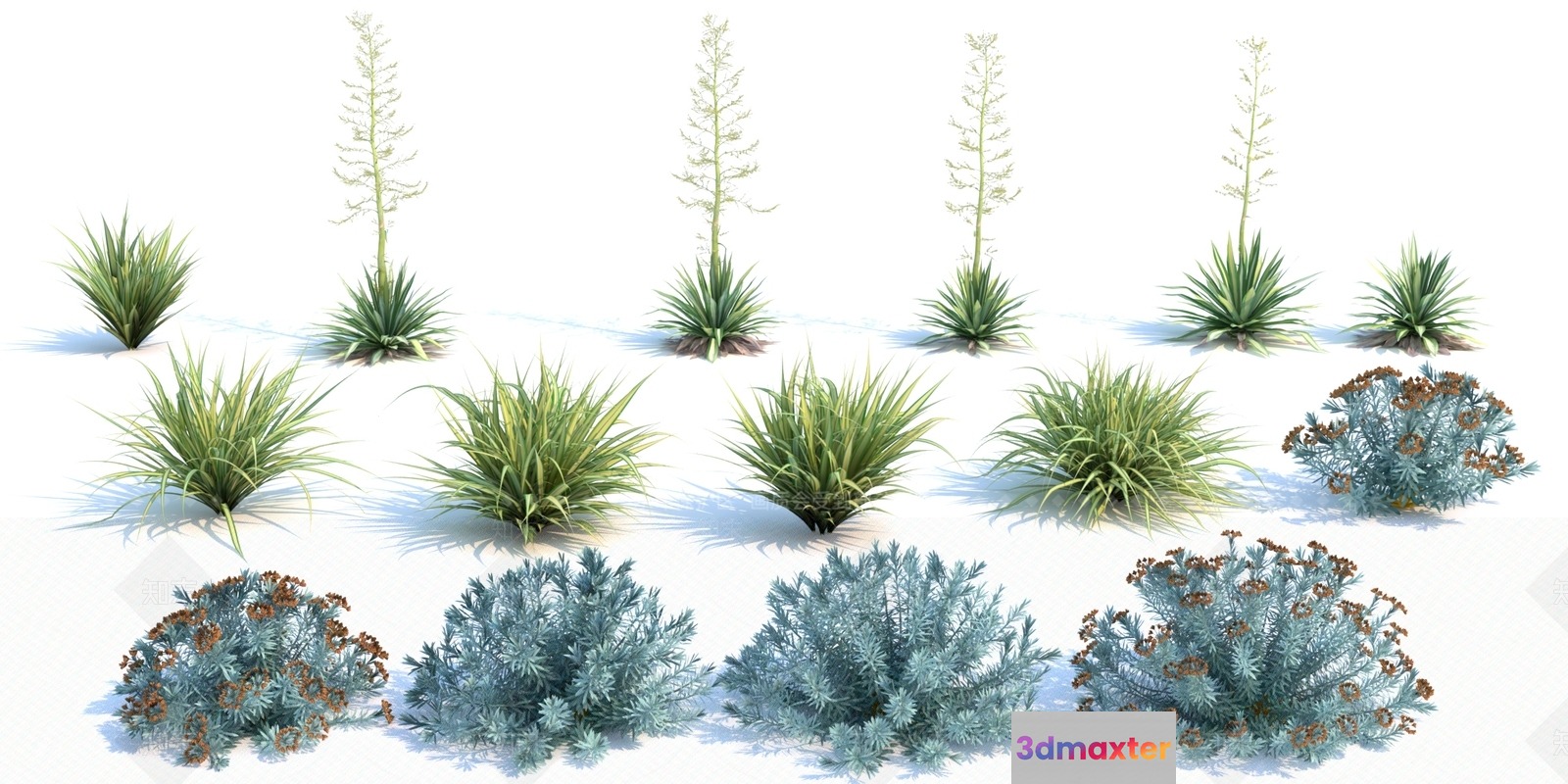 Desert Plants 3D Model - 11696 - VRAY Render