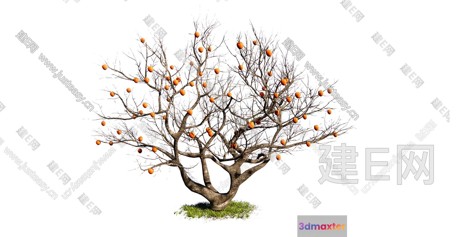 A Tree With Orange Fruit 3D Model - 19044 - VRAY Render
