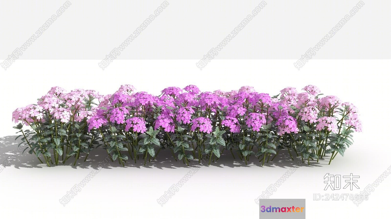A Cluster Of Purple Flowers 3D Model - 18333 - VRAY Render