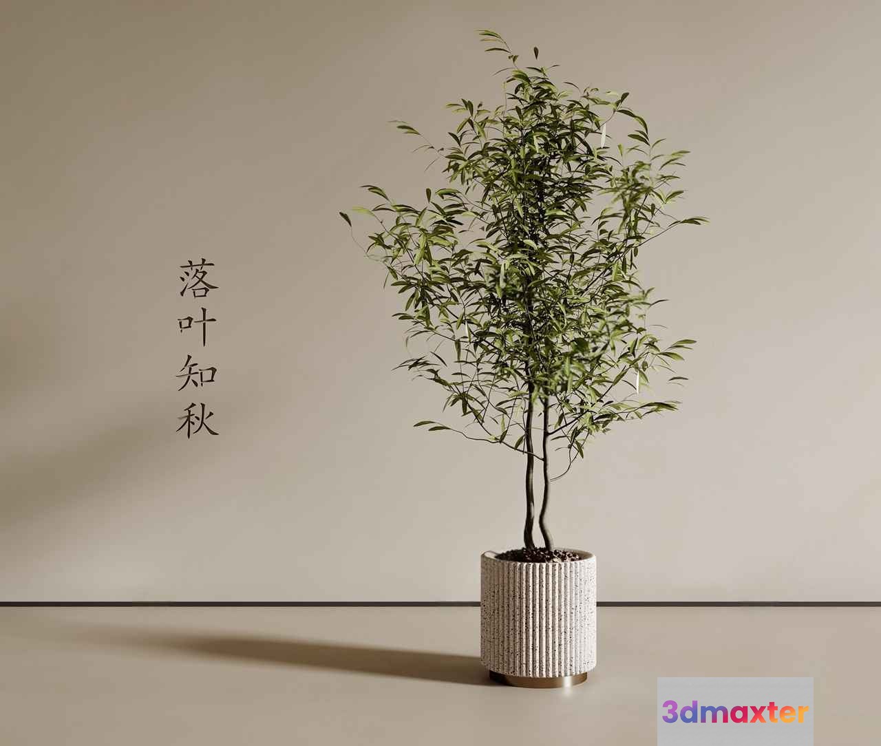 A Potted Plant In A White Pot 3D Model - 5117 - VRAY Render