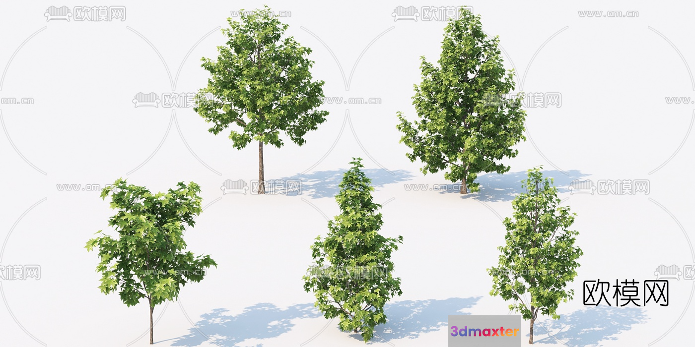 Trees With Green Leaves 3D Model - 16359 - VRAY Render